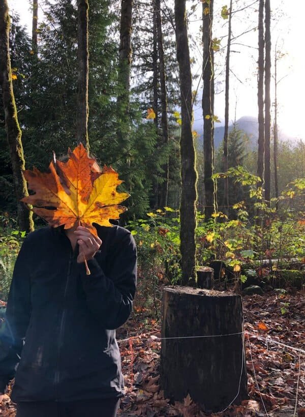 Person holding an autumn leaf in front of their face while standing in a quiet forest, representing privacy, reflection, and individual therapy.