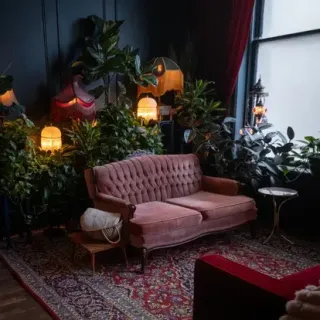 Cozy counselling office with plants and pink coach