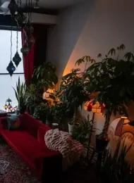 Welcoming therapy space with a pink sofa, plants, warm lamps, and comfortable seating