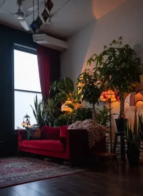 Warm therapy room with a red couch, layered plants, soft lighting, and a peaceful setting